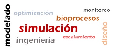 24-I MODELADO Y SIMULACIÓN DE BIOPROCESOS - PMB01C