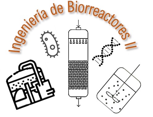 24-O Ingeniería de Biorreactores II - CK01IB